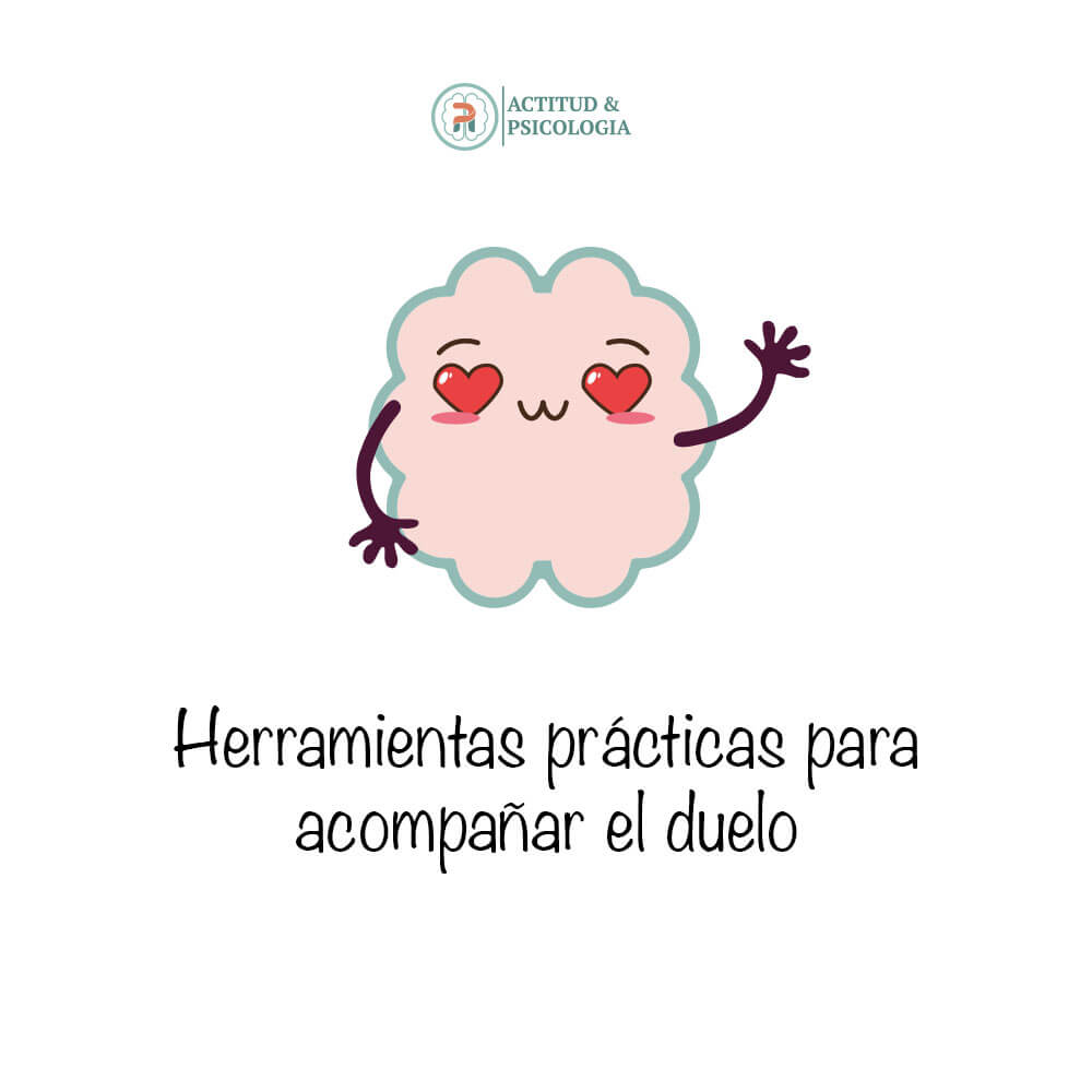 Guía Duelo